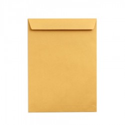 Yellow Envelope_1