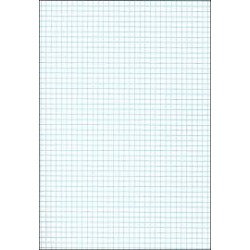 Graph Paper- Full Sheet